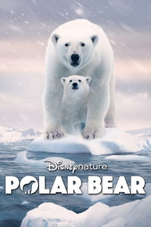 ดูหนังออนไลน์ Polar Bear โพล่าแบร์ (2022) พากย์ไทย